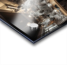 DM-Zebra at Coffee shop 001 Acrylic print