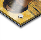 DM-What is happening to our world-2 Acrylic print