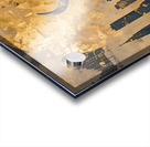 DM-Buffalo in the city 002 Acrylic print