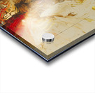 DM - Long gone 002 Acrylic print