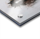 DM -The Leader Acrylic print