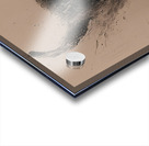 DM-RUN SIMON Acrylic print