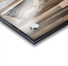 DM  Whispers of the Forest 002 Acrylic print