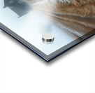 DM-The Vanished memories Acrylic print