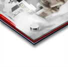 DM-Trump v2 Acrylic print