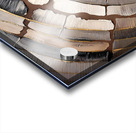 Dm- Abstract 002 Acrylic print