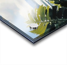 DM-Coastal 003 Acrylic print