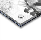 DM - Freedom Acrylic print