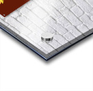 DM  Donald  Ugly Acrylic print