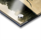 DM-Some Were in the Nothing Box Acrylic print