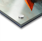 DM  Life trip1 Acrylic print