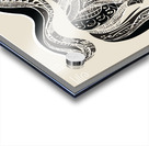 DM My horse Acrylic print