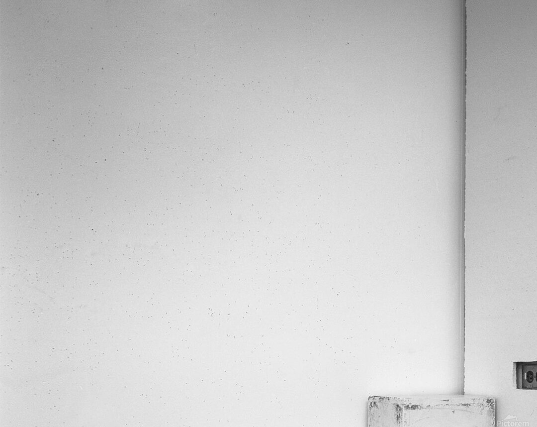 DM  Donald BAD Acrylic Print