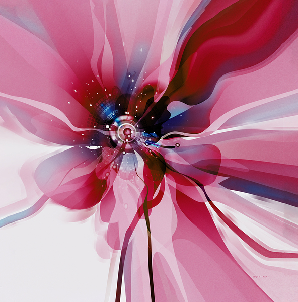 DM-Modern floral- Red 001 Print