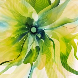 DM-Green Modern Floral-2