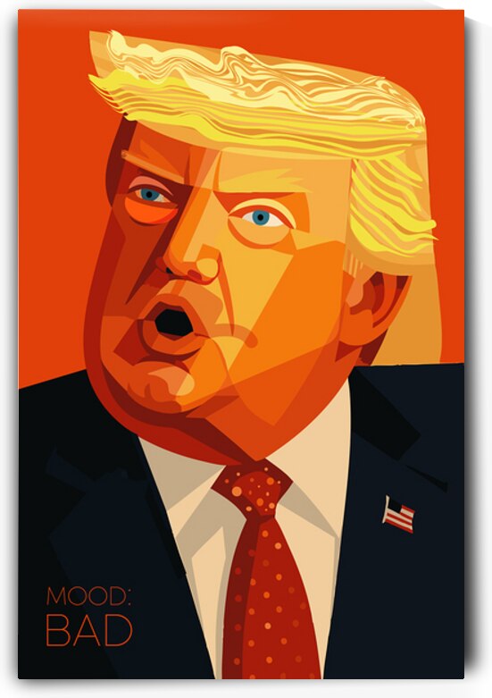 DM  Donald BAD by Mantegh Studio