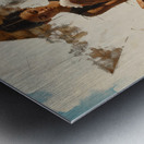 DM -The avatar 0009 Metal print