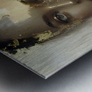 DM-Her Eyes Metal print