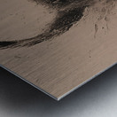 DM-RUN SIMON Metal print