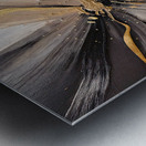 DM  Golden Floral 006 Metal print