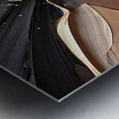 DM  Golden Floral 005 Metal print