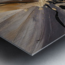 DM  Golden Floral 007 Metal print