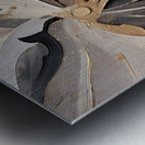 DM  Golden Floral 010 Metal print