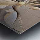 DM  Golden Floral 012 Metal print