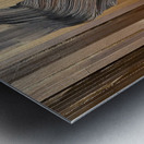 DM Memorial of Nature Metal print