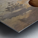 DM-tree of life 002 Metal print