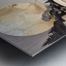 DM- Horicon 002 Metal print