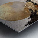 DM-Horicon 001 Metal print