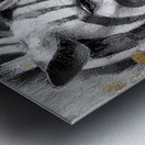 DM-Zebra003 Metal print