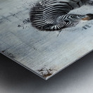 DM -Zebra002 Metal print