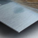 DM-The Vanished memories Metal print