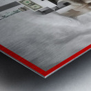 DM-Trump v2 Metal print