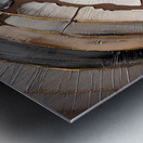 Dm- Abstract 002 Metal print