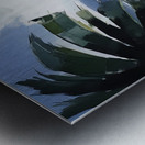 DM-Coastal 001 Metal print