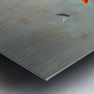 DM  Life trip3 Metal print