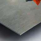 DM  Life trip2 Metal print