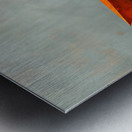 DM  Life trip1 Metal print