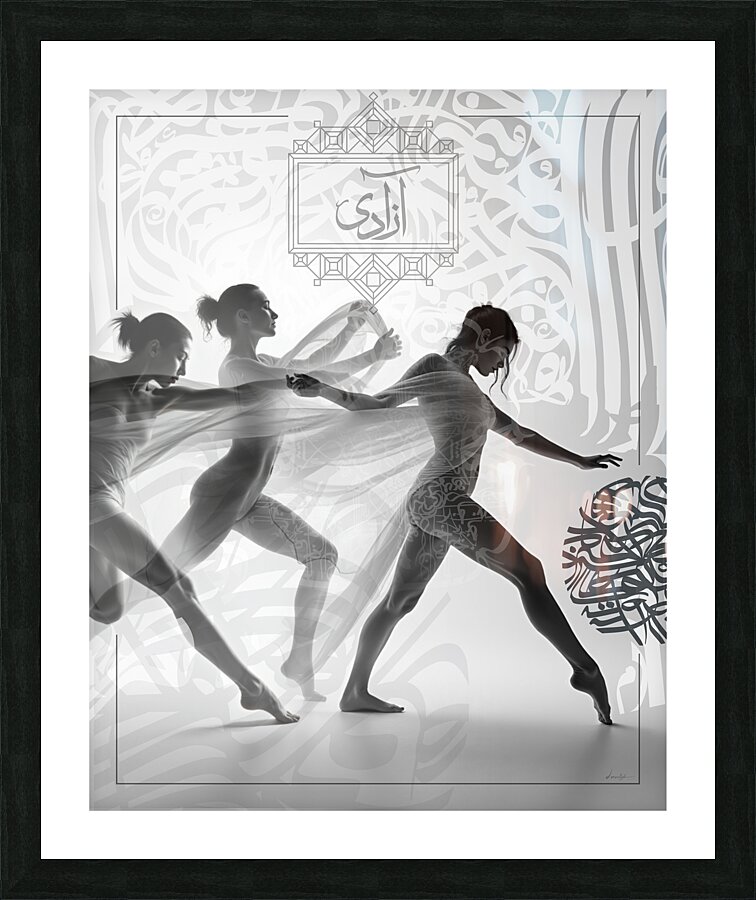 DM - Freedom Picture Frame print