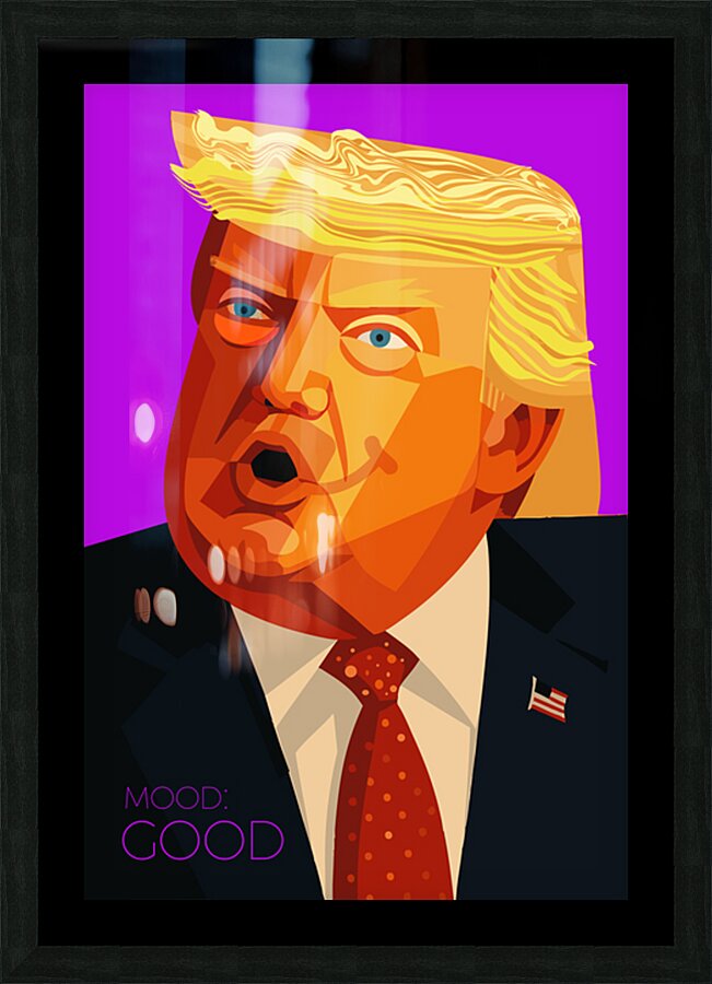 DM  Donald Good Picture Frame print