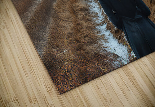 DM-The Vanished memories Mantegh Studio puzzle