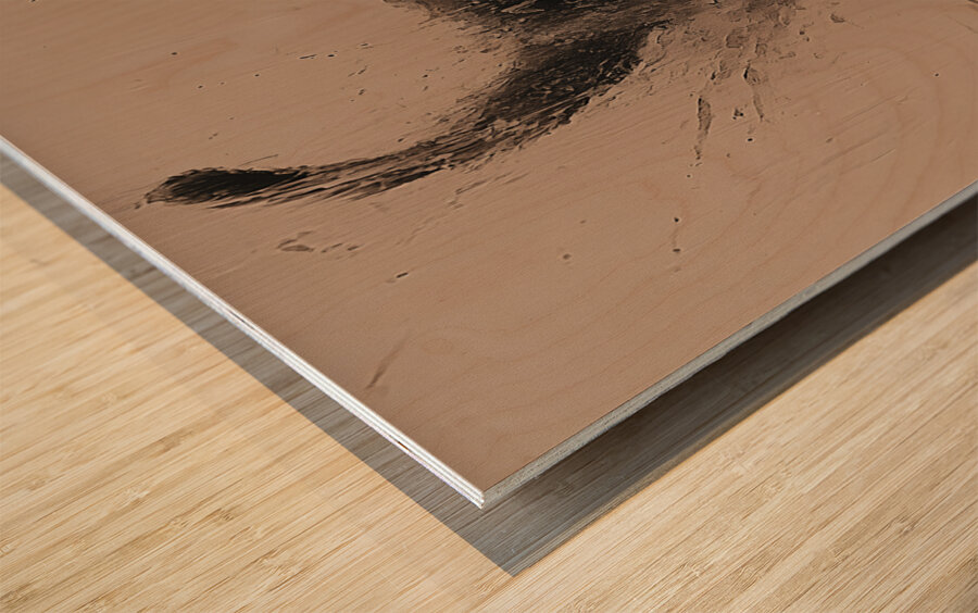 DM-RUN SIMON Wood print