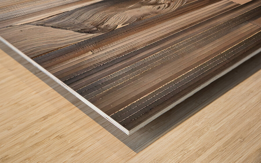 DM  Whispers of the Forest 002 Wood print