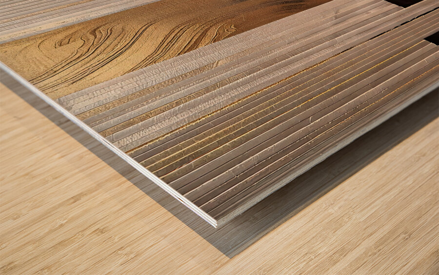 DM -Whispers of the Forest 001 Wood print