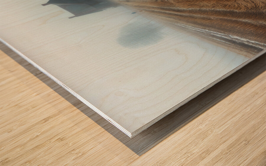 DM-The Vanished memories Wood print